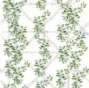 Bamboo Jasmine In White Wallpaper