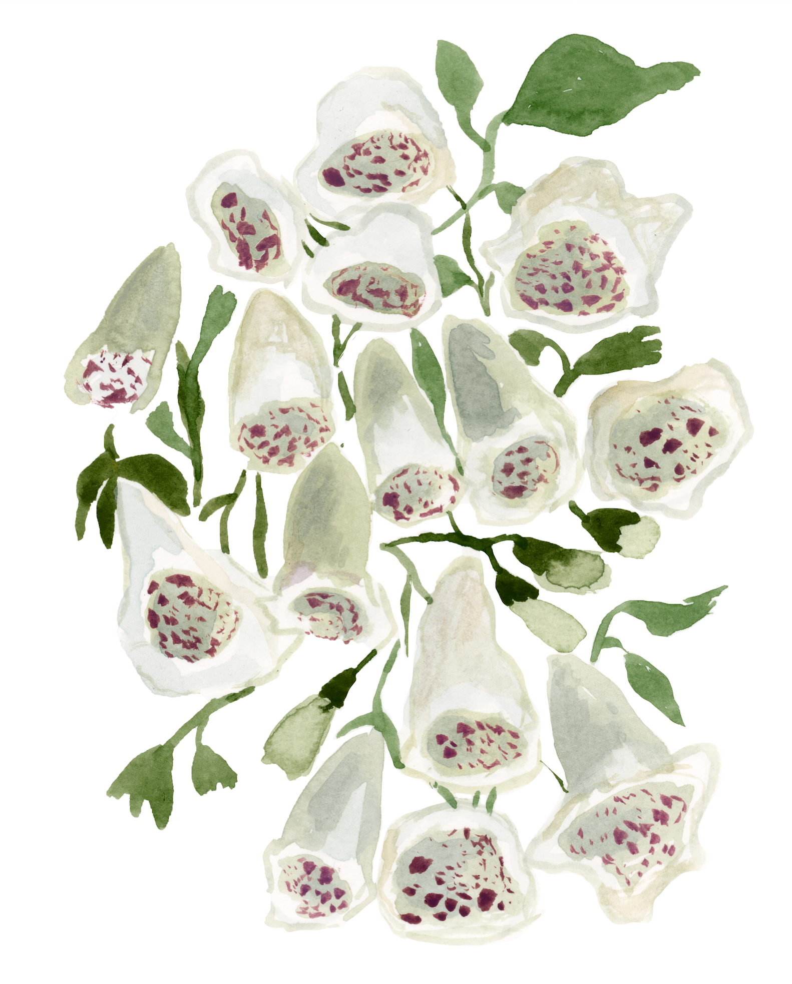 Foxglove Print
