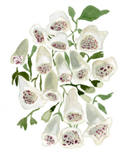 Foxglove Print