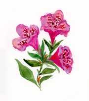 Azalea Print