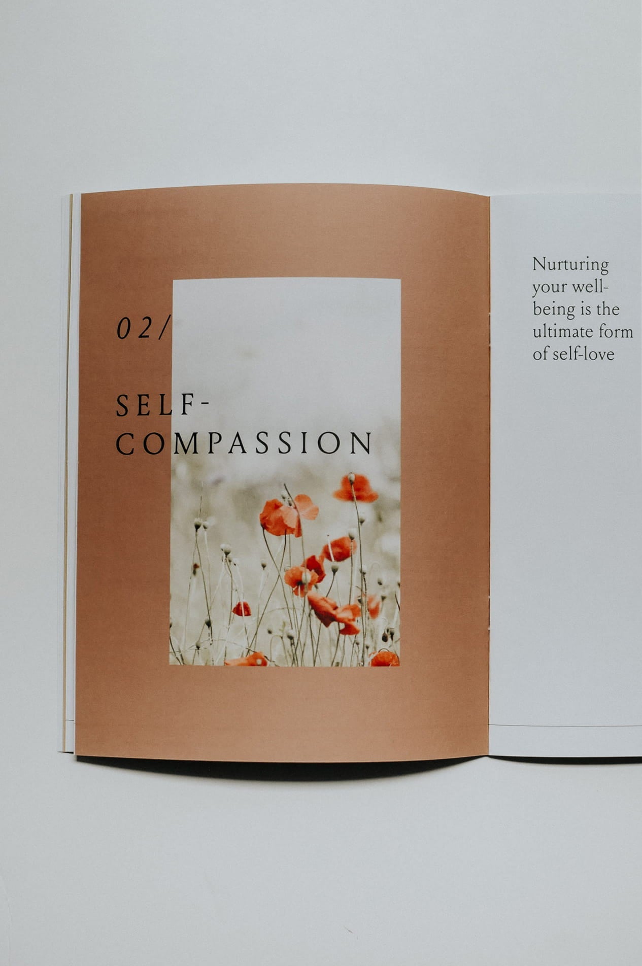 Everyday Positive Workbook