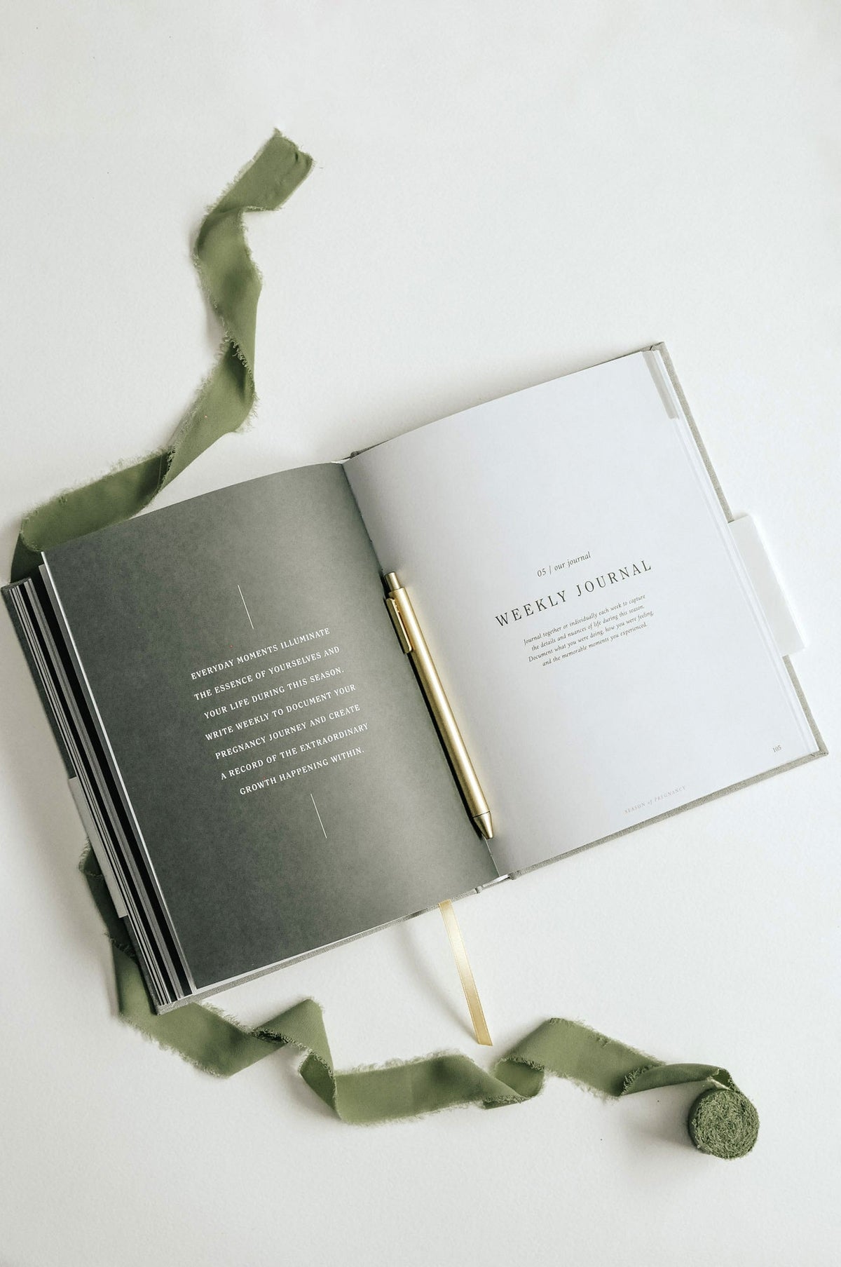 Pregnancy Journal