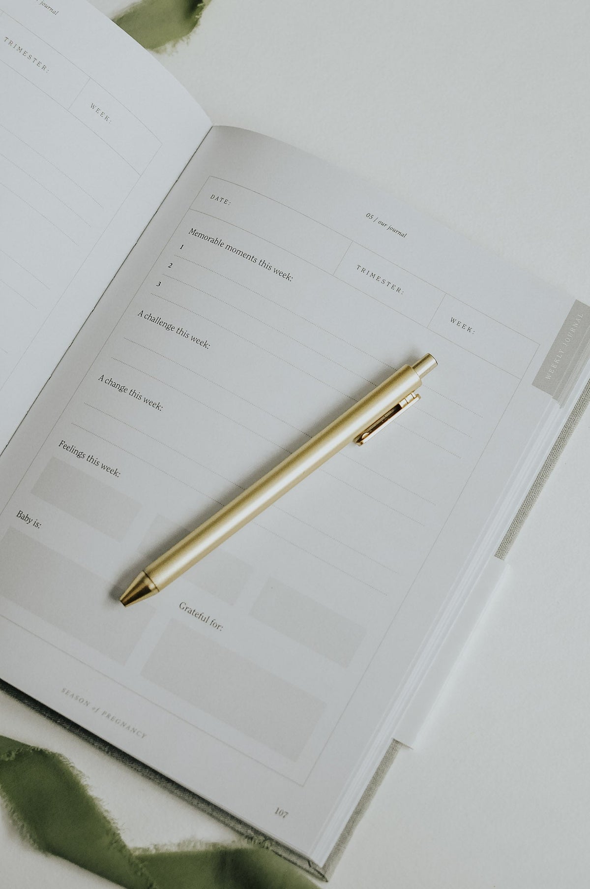 Pregnancy Journal