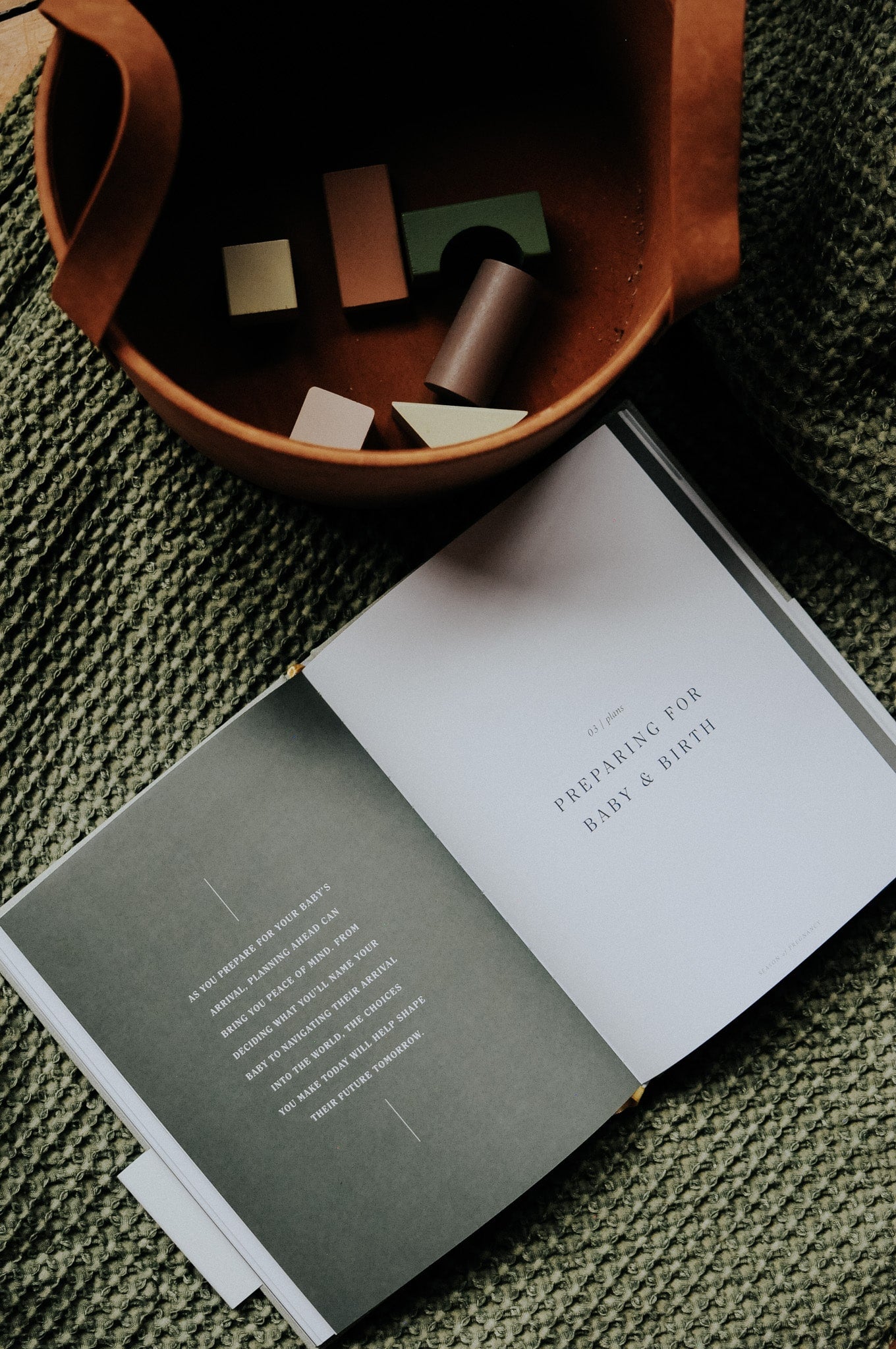Pregnancy Journal