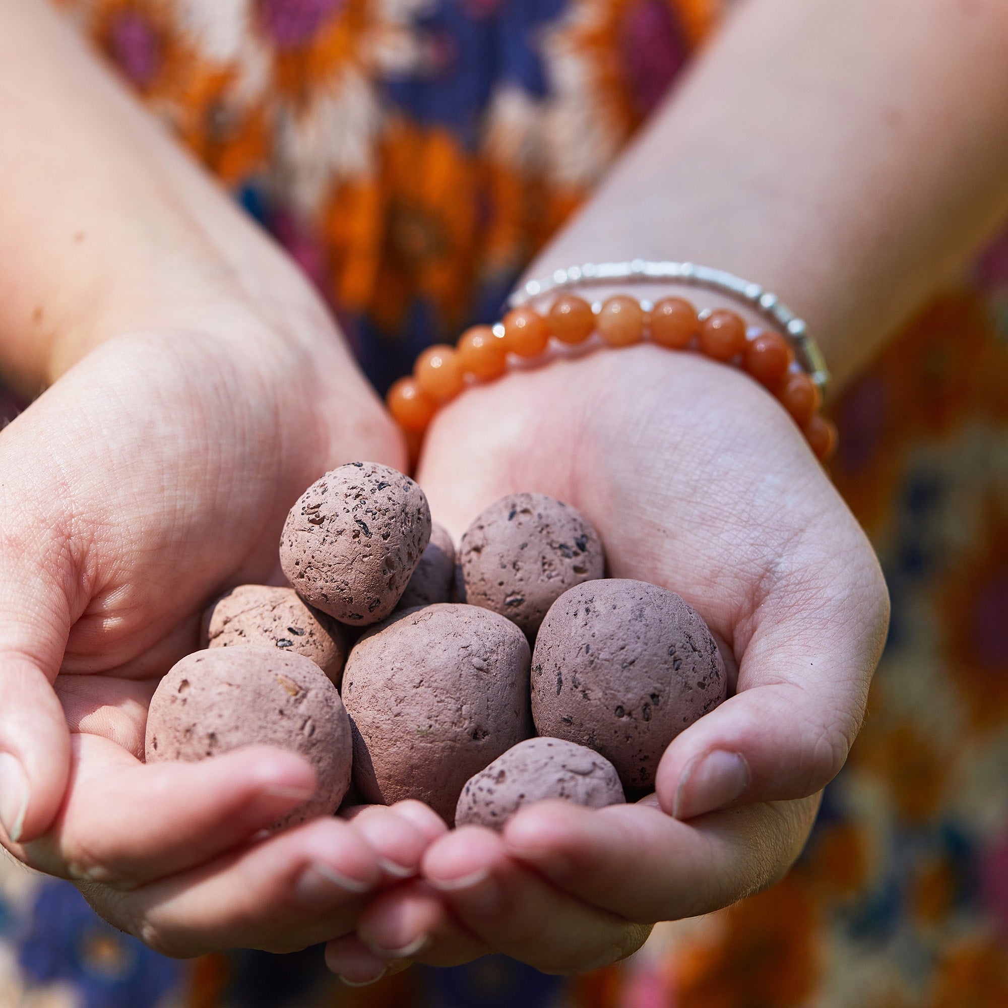 Seed Bomb