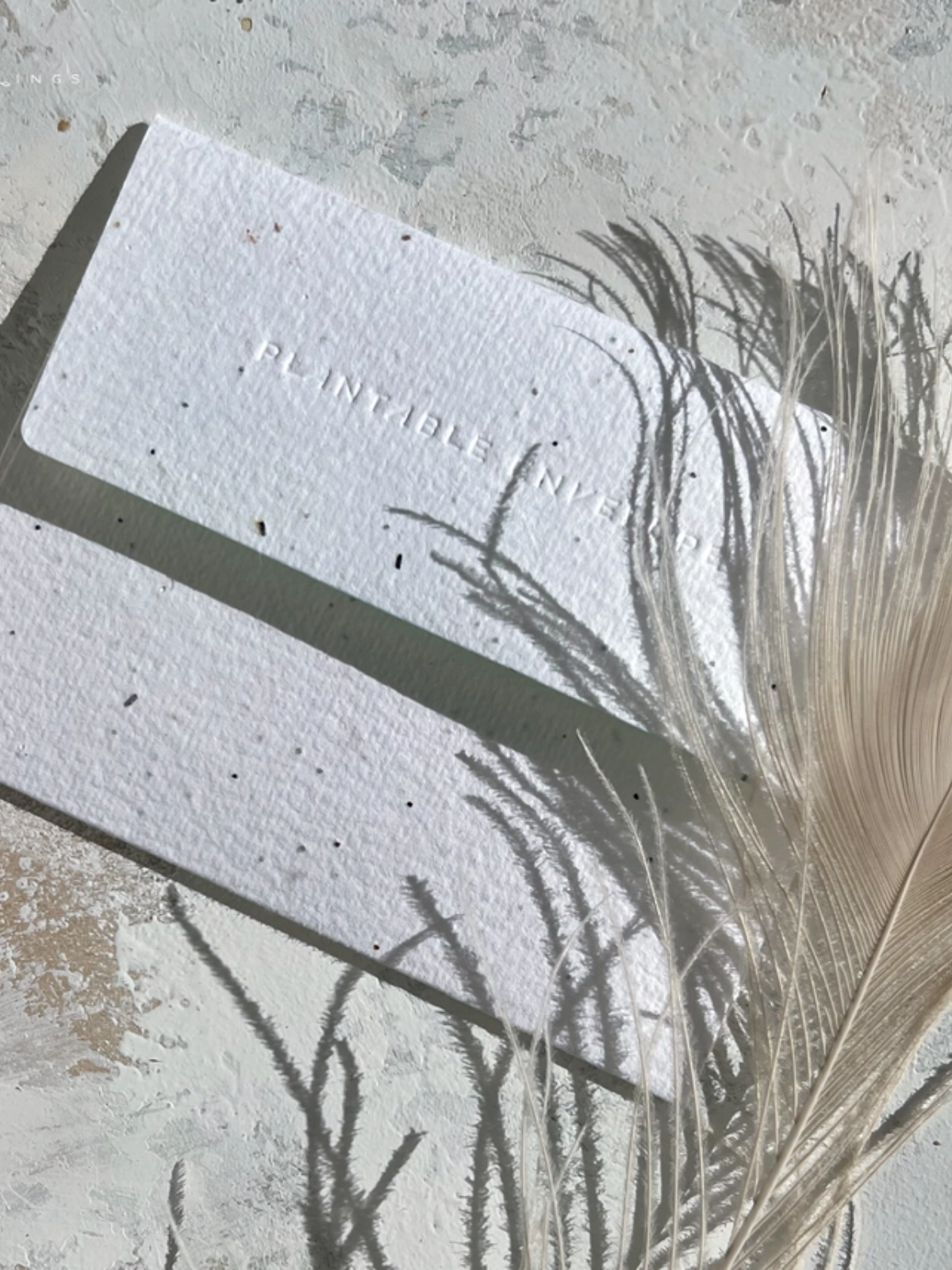 Little Bird - Seeded Baby Congratulations Card