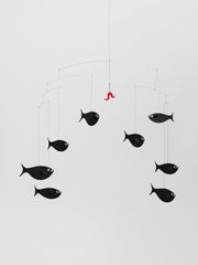 Shoal Of Fish.