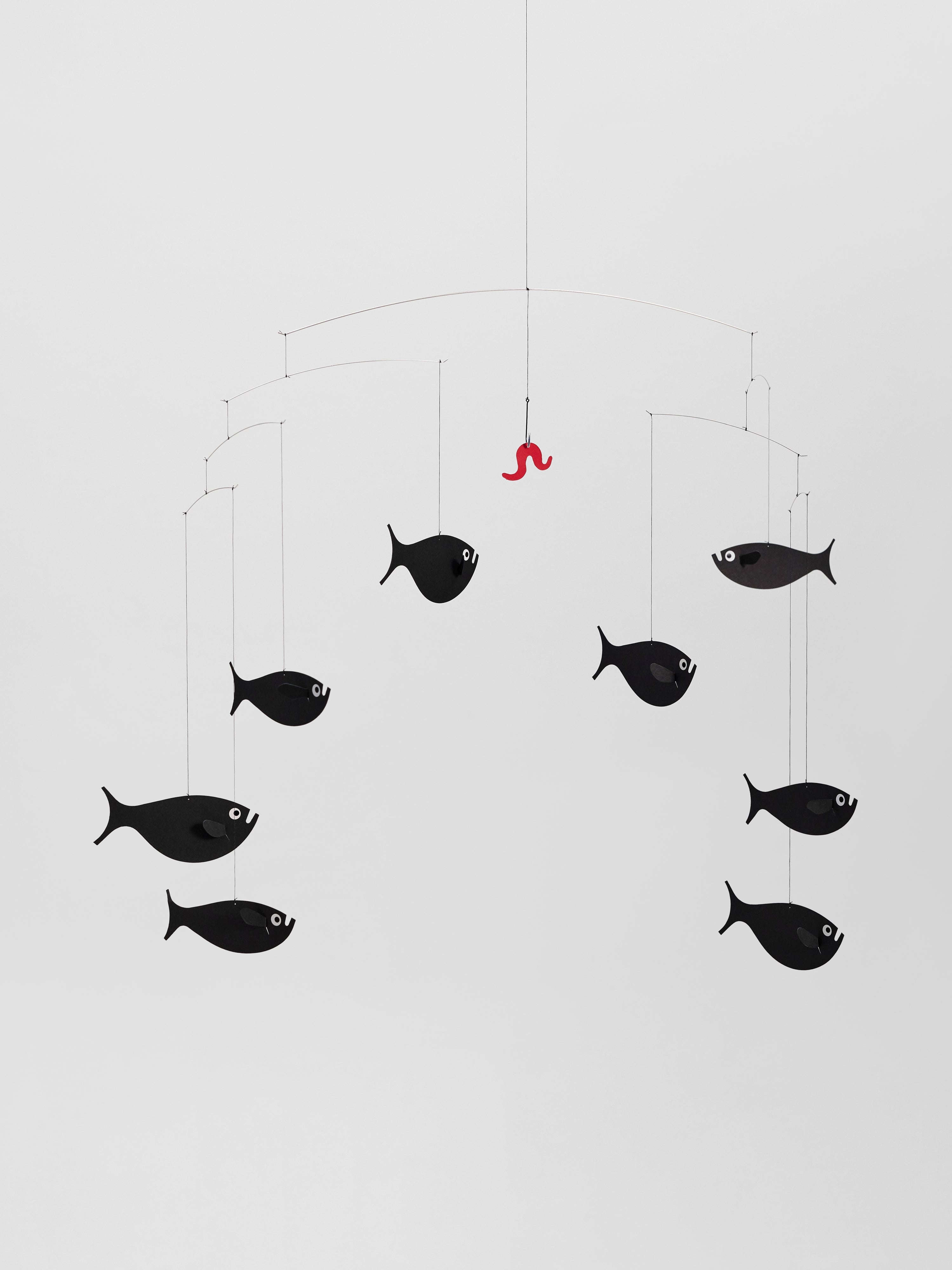 Shoal Of Fish.