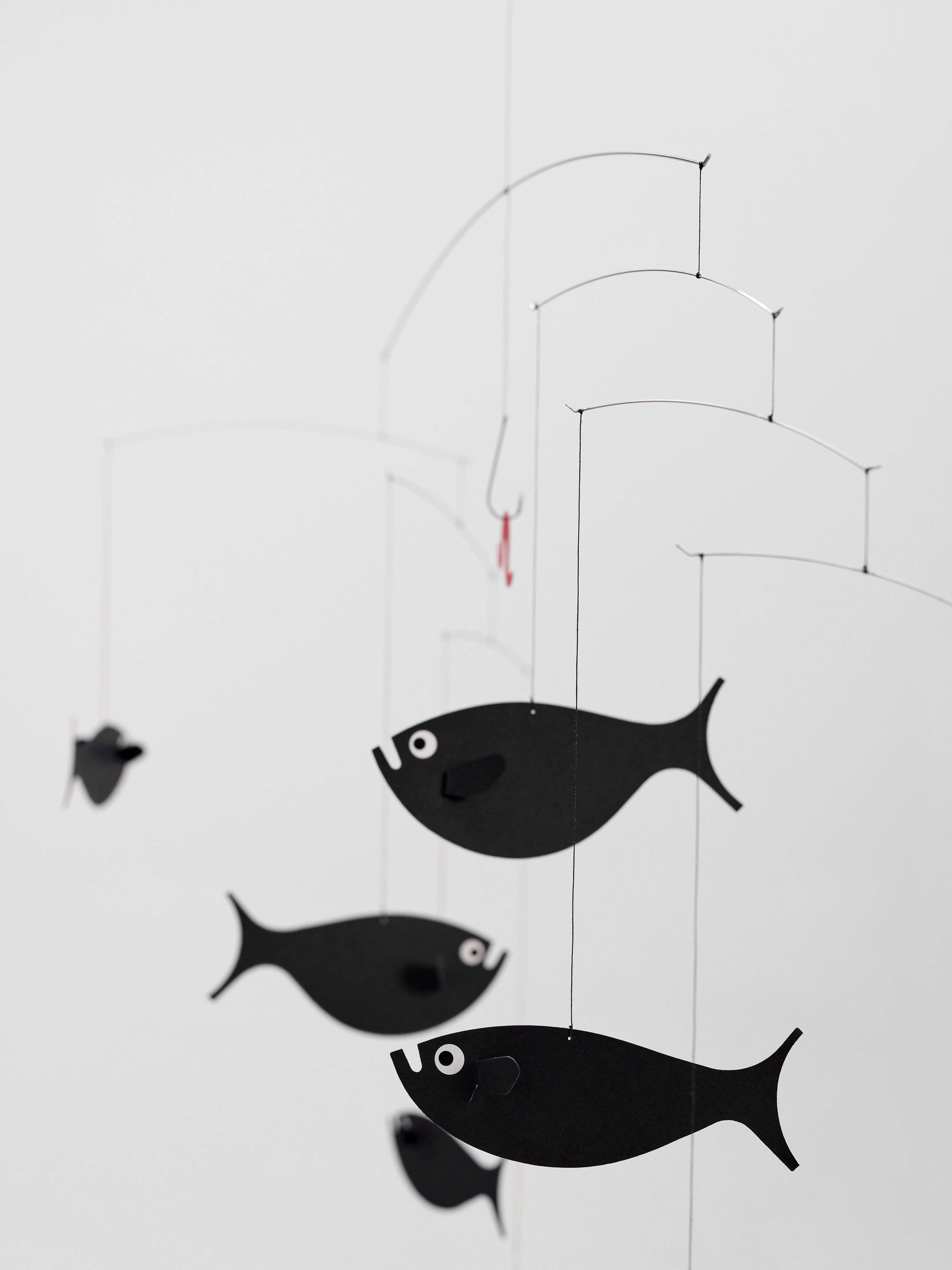Shoal Of Fish.