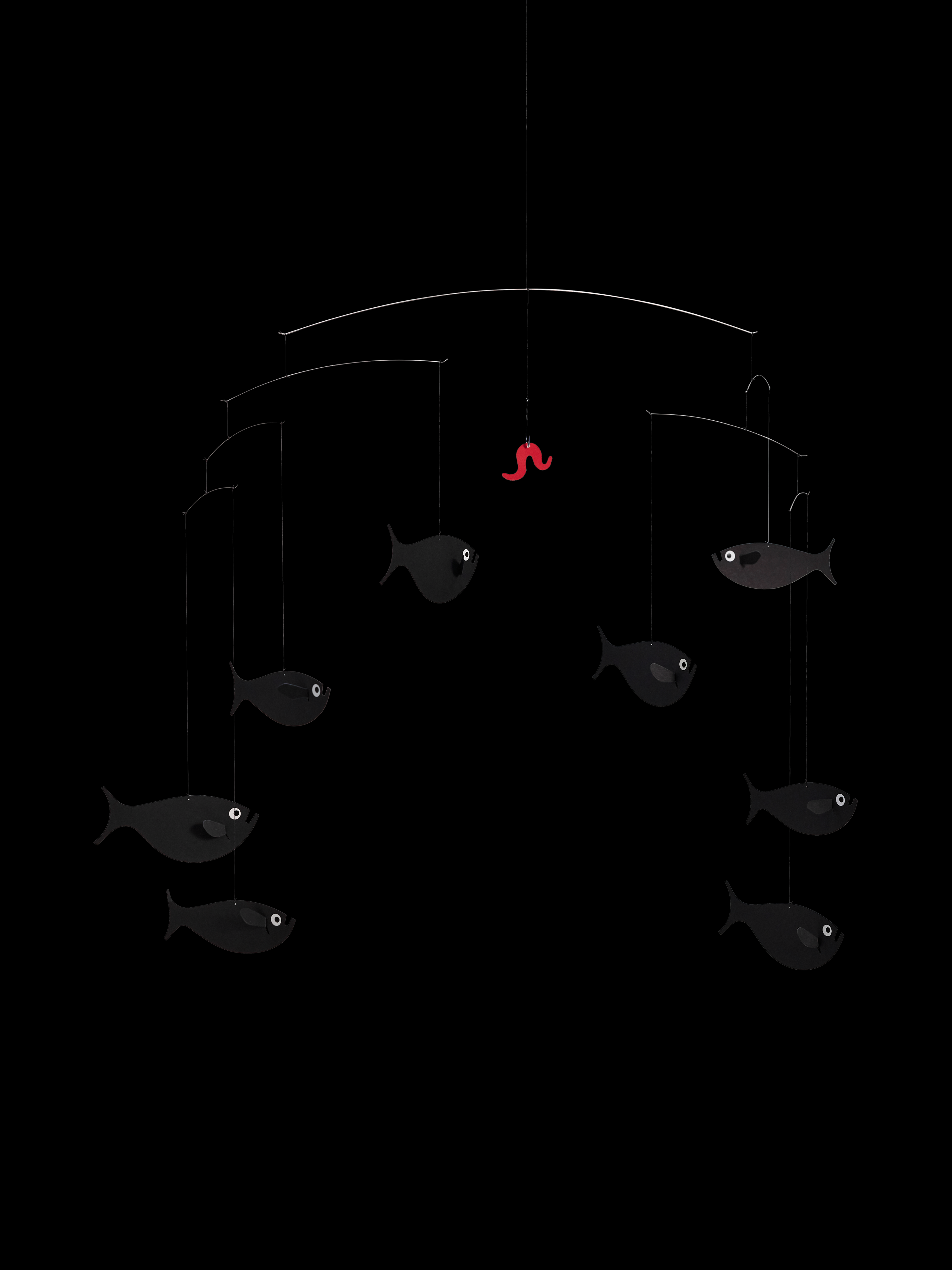 Shoal Of Fish.