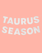 Taurus Season Banner - Silver Glitter Banner