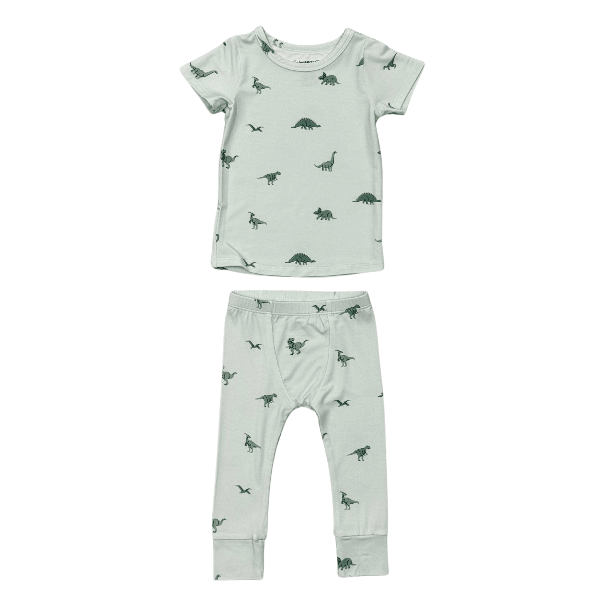 Boys Short Sleeve Lounge Set In Dinosaur