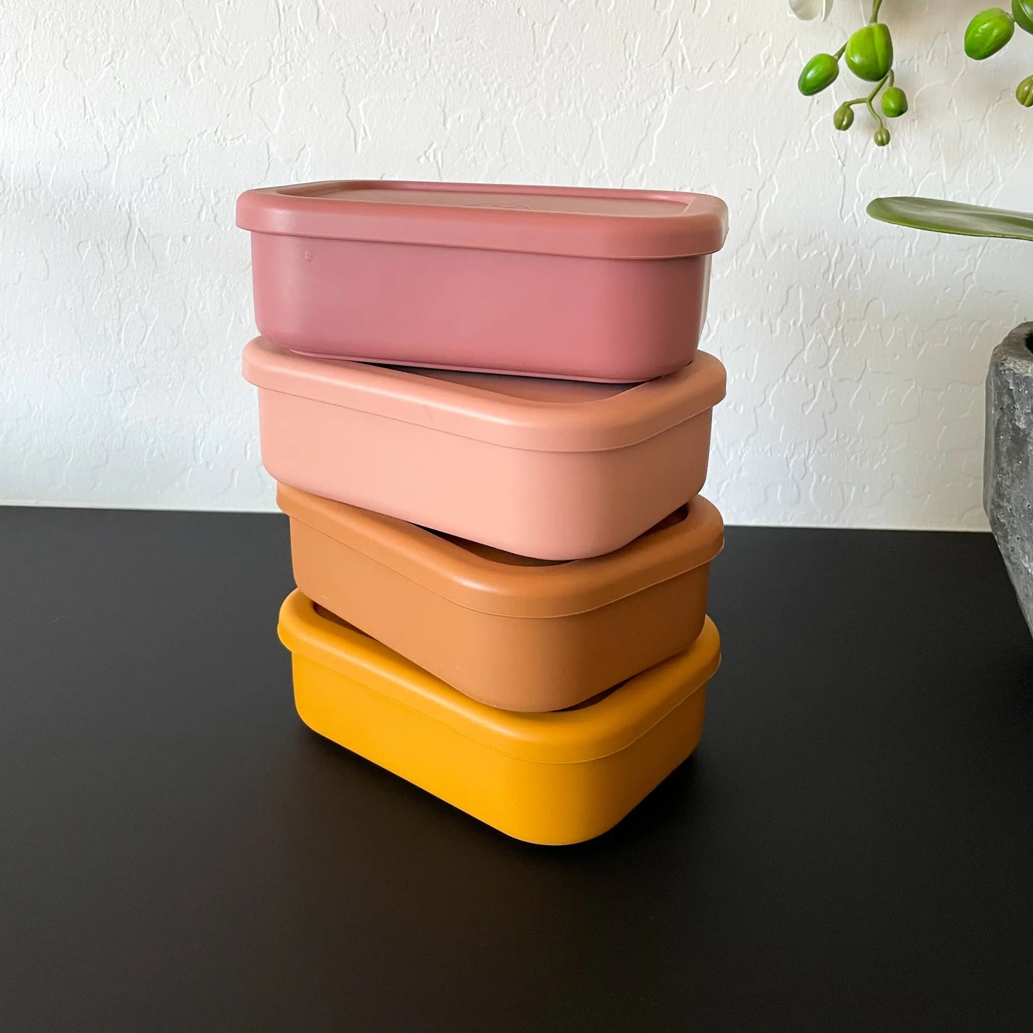 Silicone Bento Lunch & Snack Box For Kids & Adults Mango