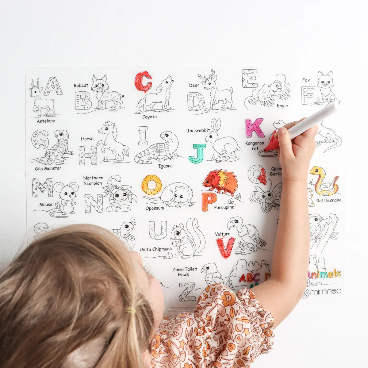 Silicone Reusable Coloring Mat & Markers Set - Desert Animals Abc