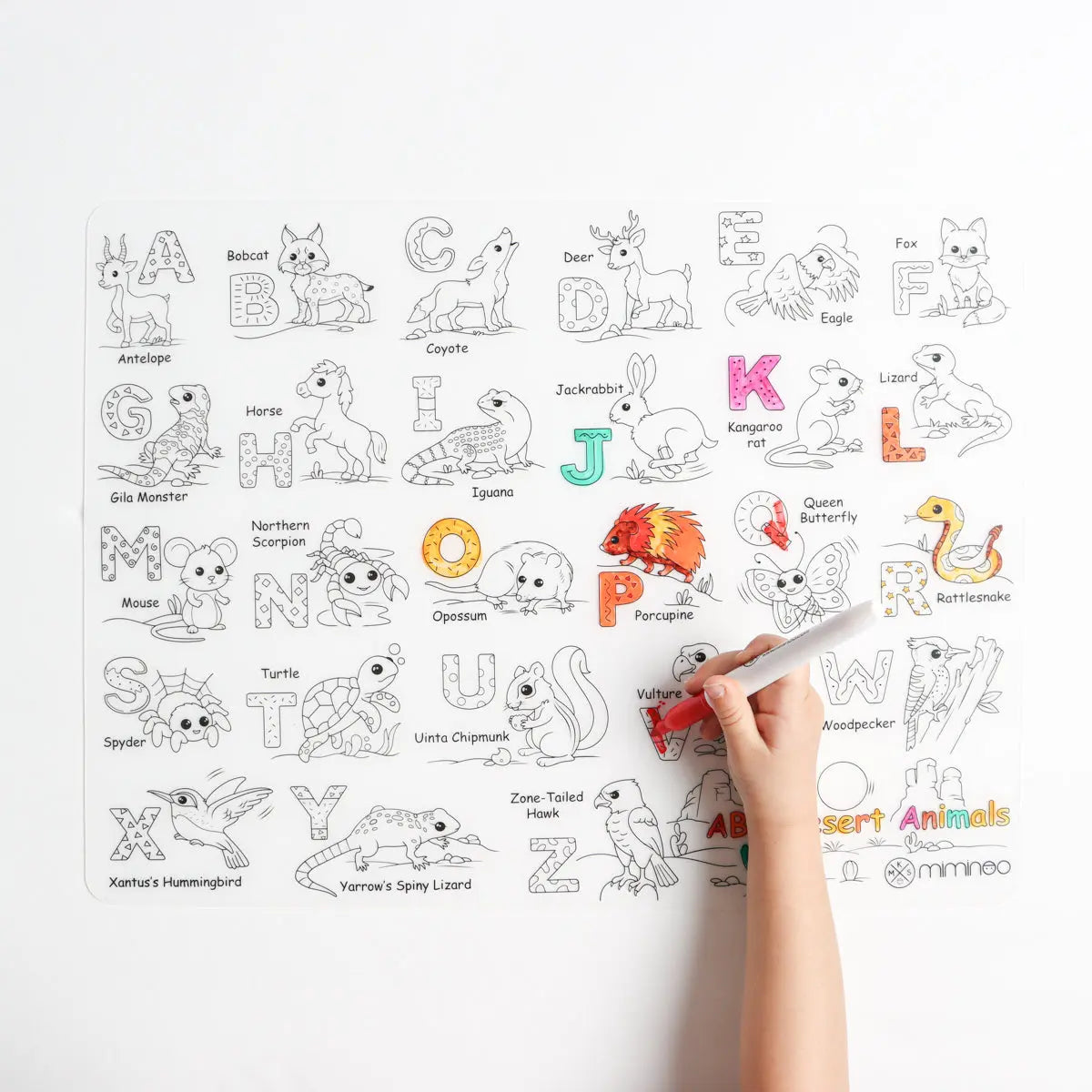 Silicone Reusable Coloring Mat & Markers Set - Desert Animals Abc