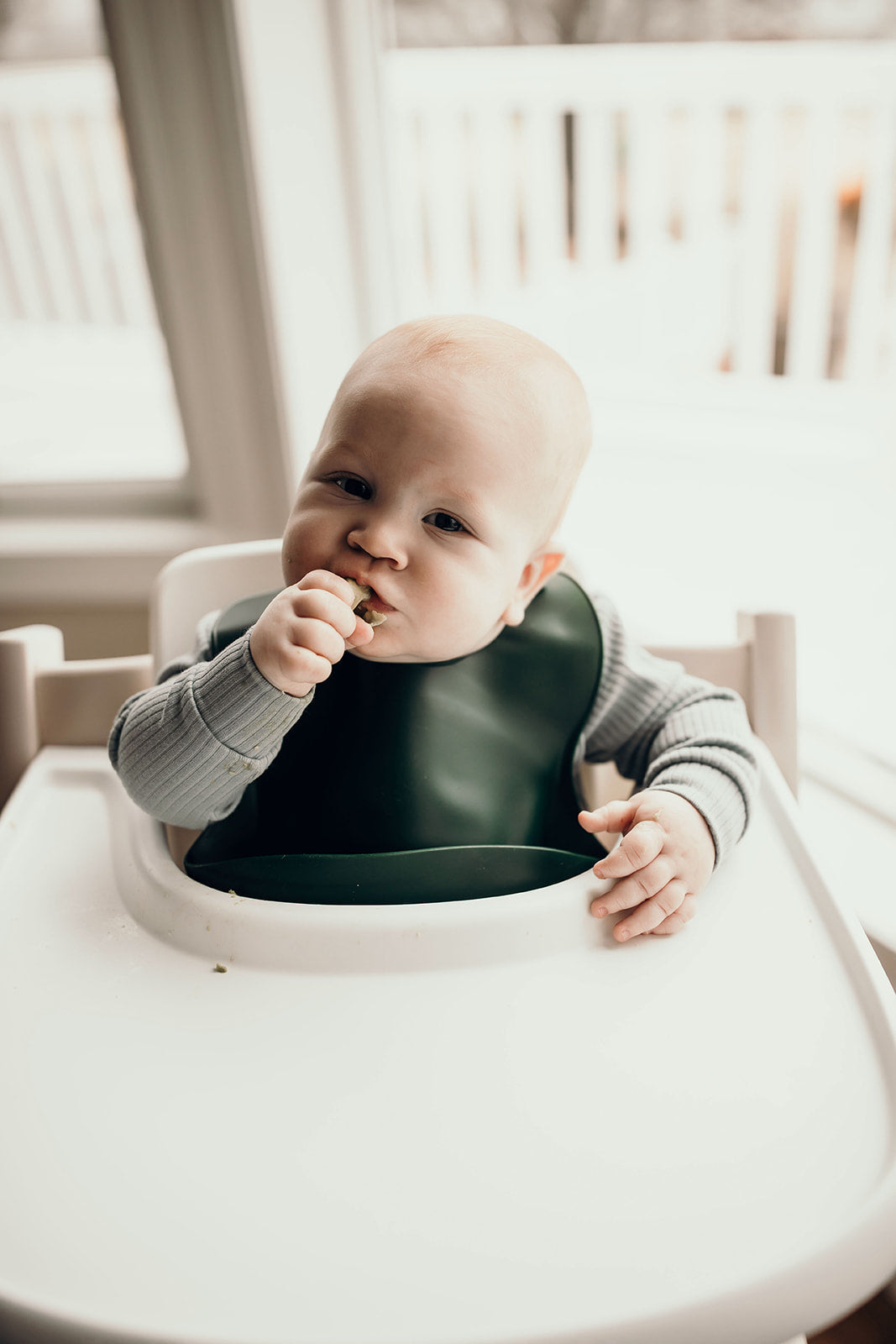 Forrest Green Silicone Bib With Crumb Catcher