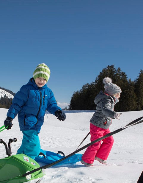 Snow Bird De Luxe Sled