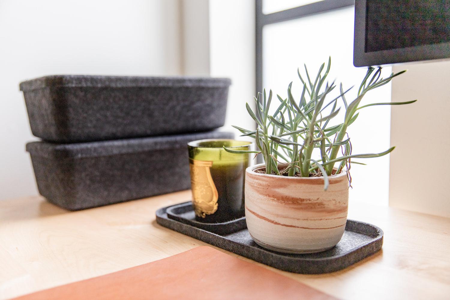 The Sculpted Bin - Long With Lid | Set Of 3
