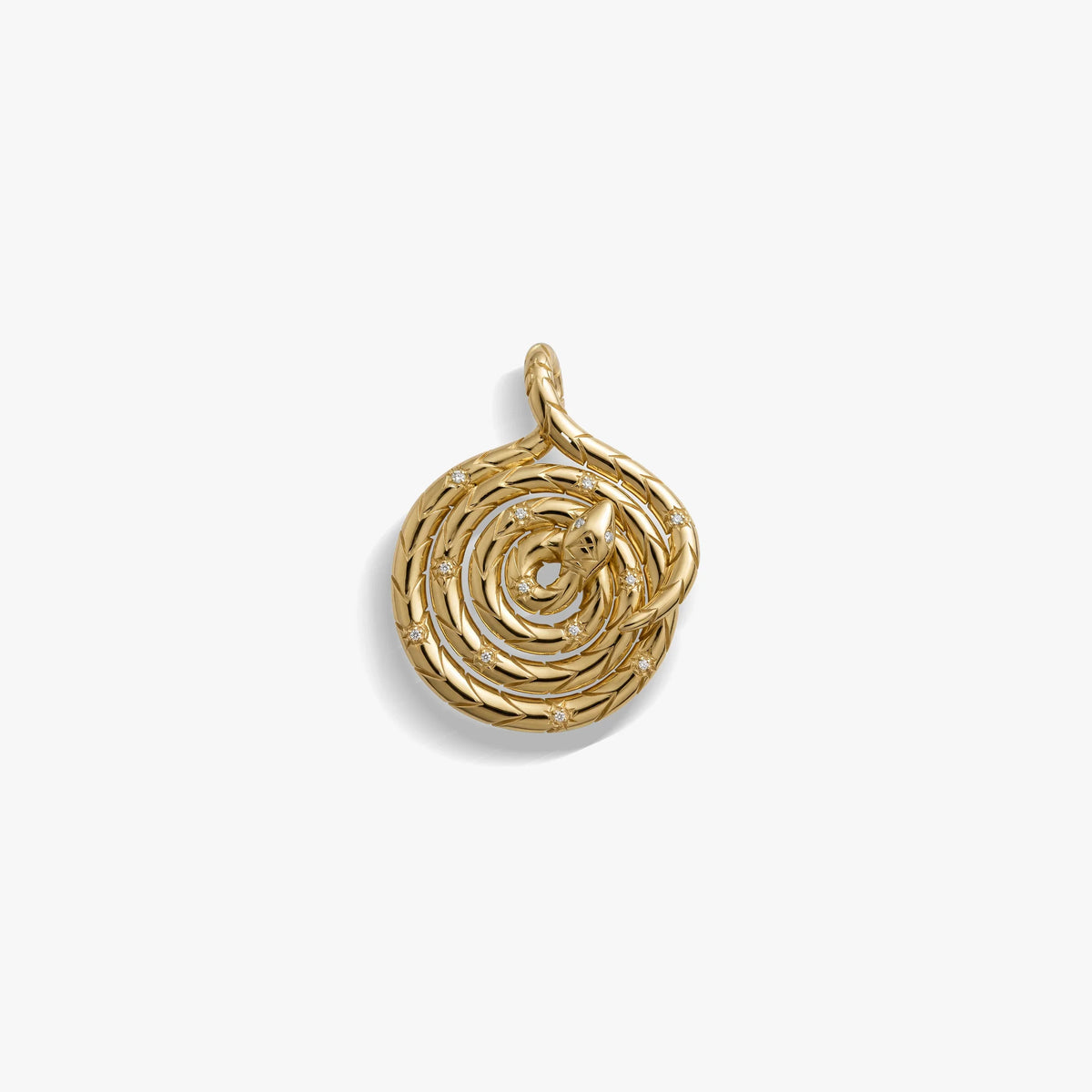 Sapphire Spiral Snake Coin