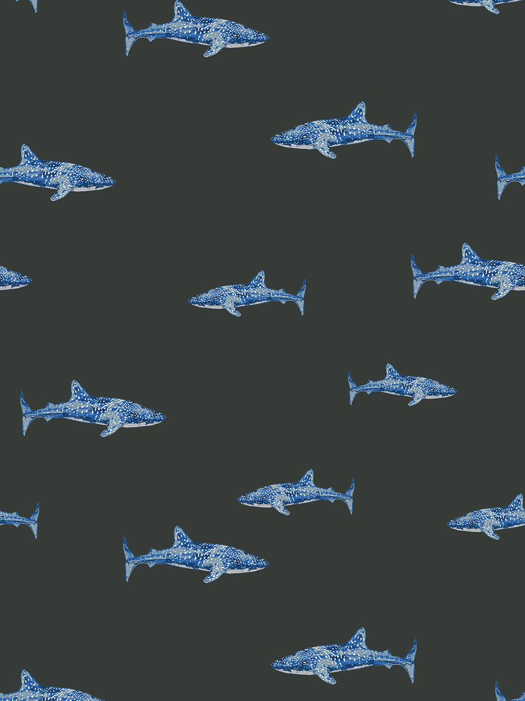 'spotted Shark' Wallpaper By Tea Collection - Charcoal