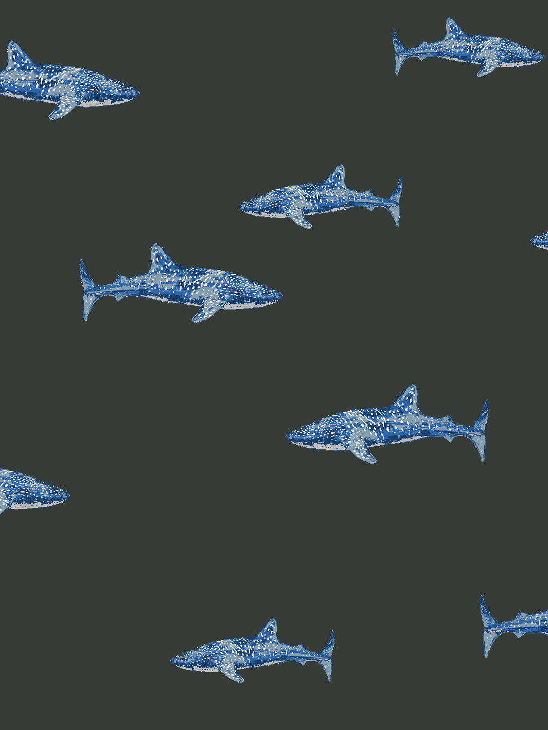 'spotted Shark' Wallpaper By Tea Collection - Charcoal