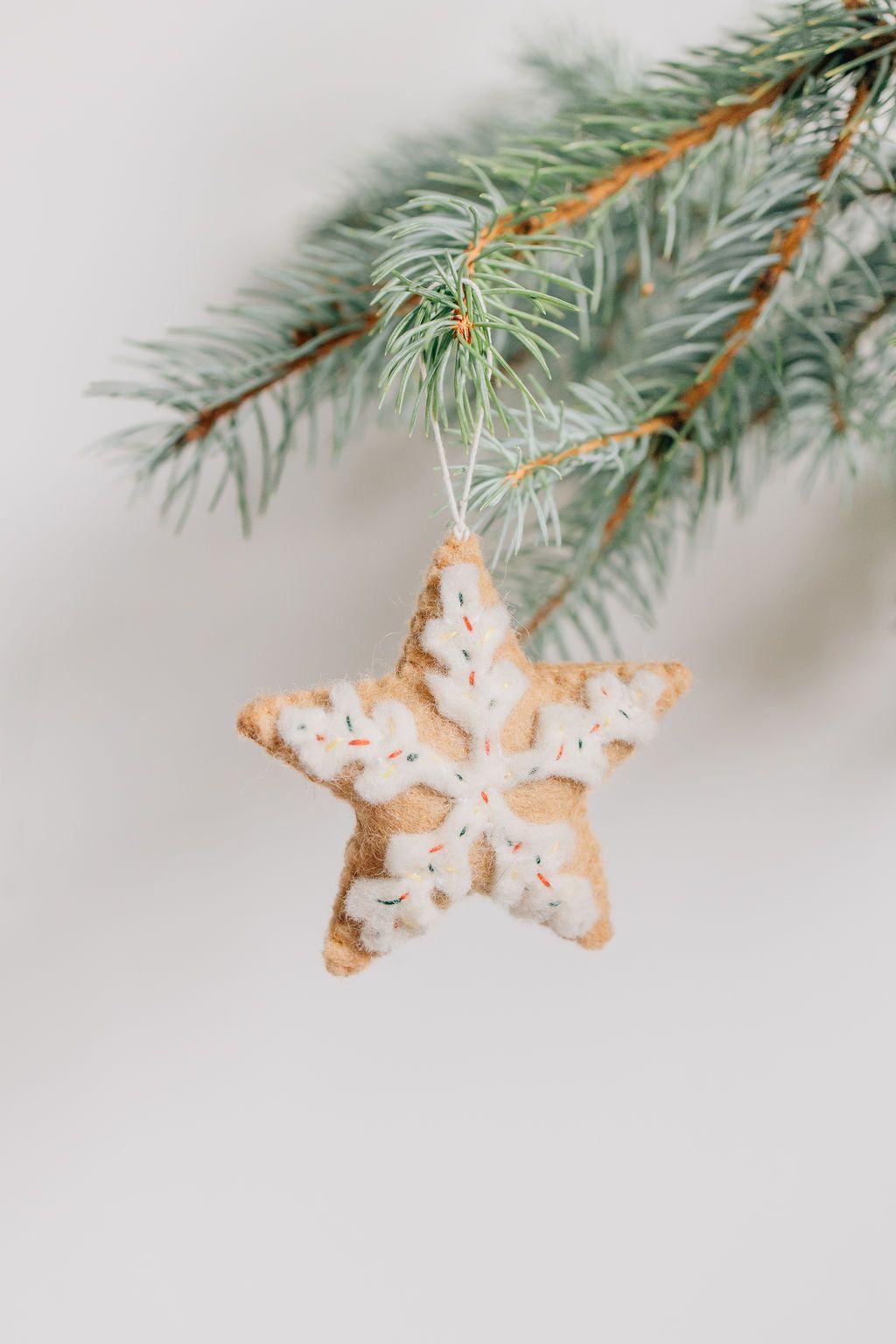 Star Cookie Ornament