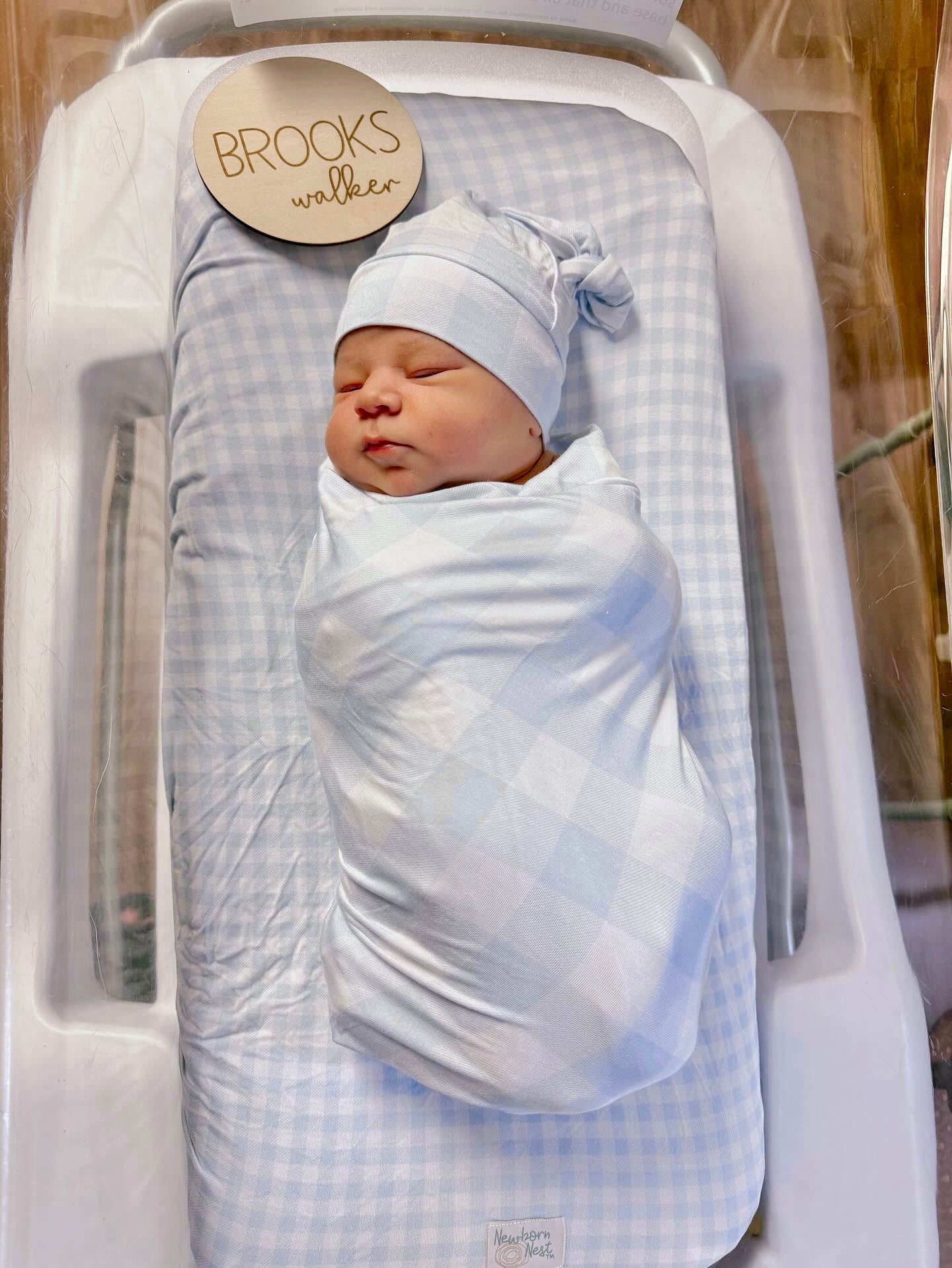 Sunday Picnic, Dusty Blue - Bamboo Newborn Nest