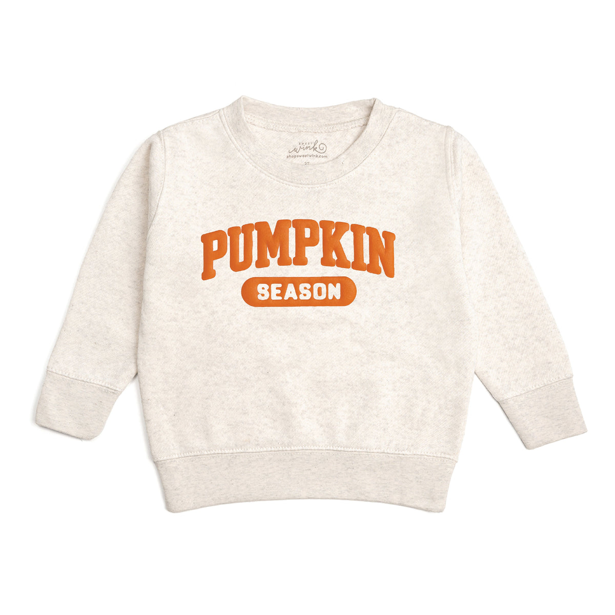 Pumpkin Season Puff Ink Sweatshirt