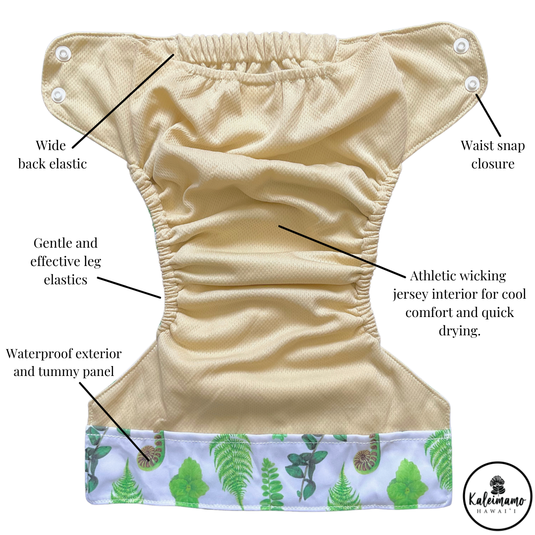 Kaiapa ʻauʻau (swim Diapers)