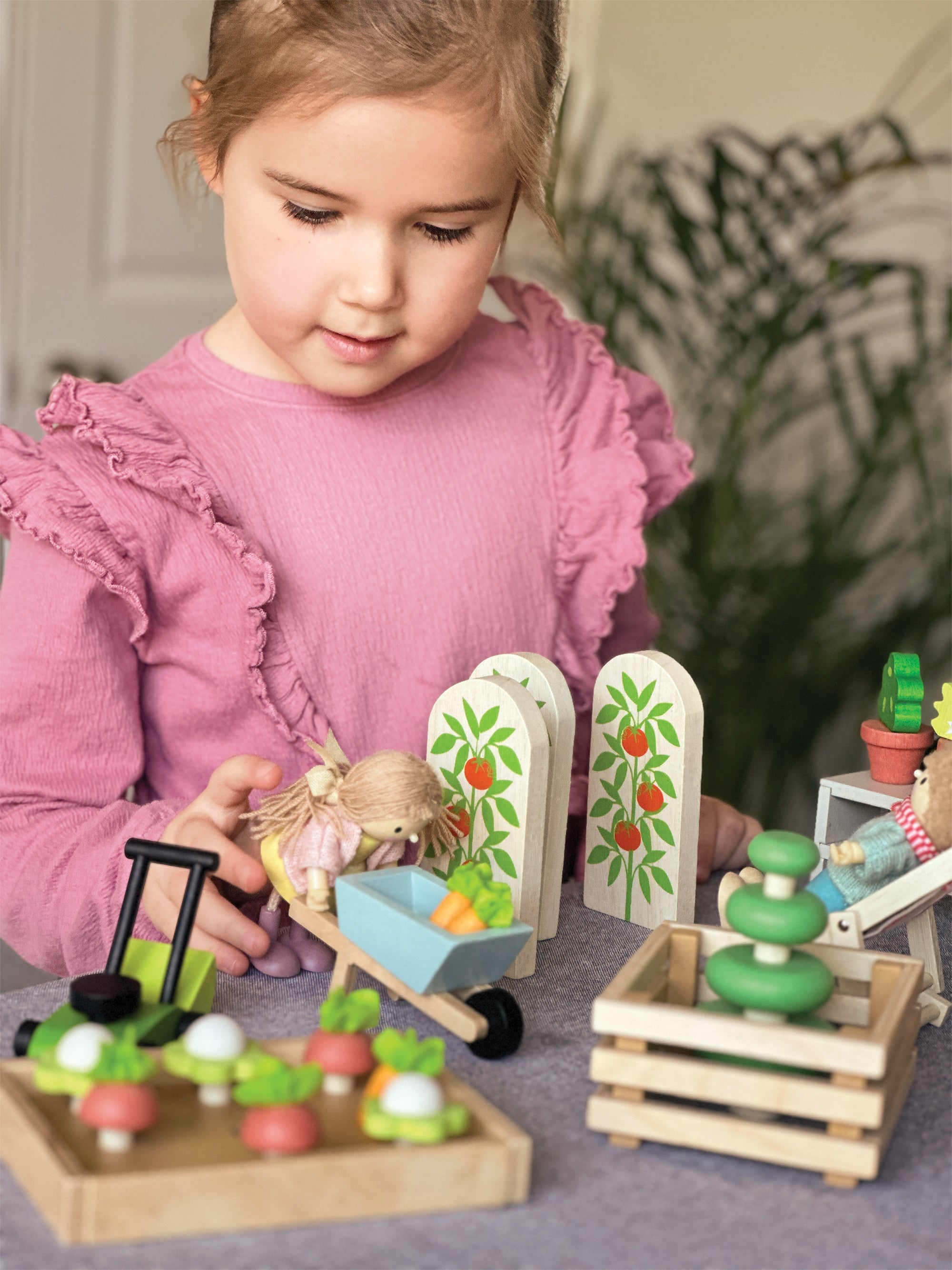 Greenhouse And Garden Set