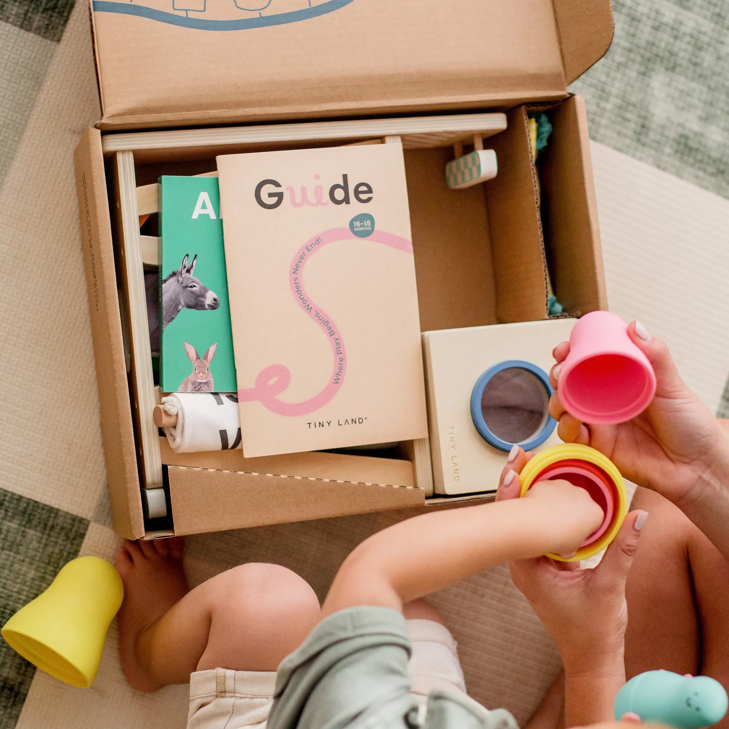Tiny Land® Montessori Toys For Toddlers (16–18 Months) – Montessori Educational Toys