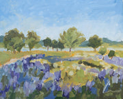 Texas Hill Country Print