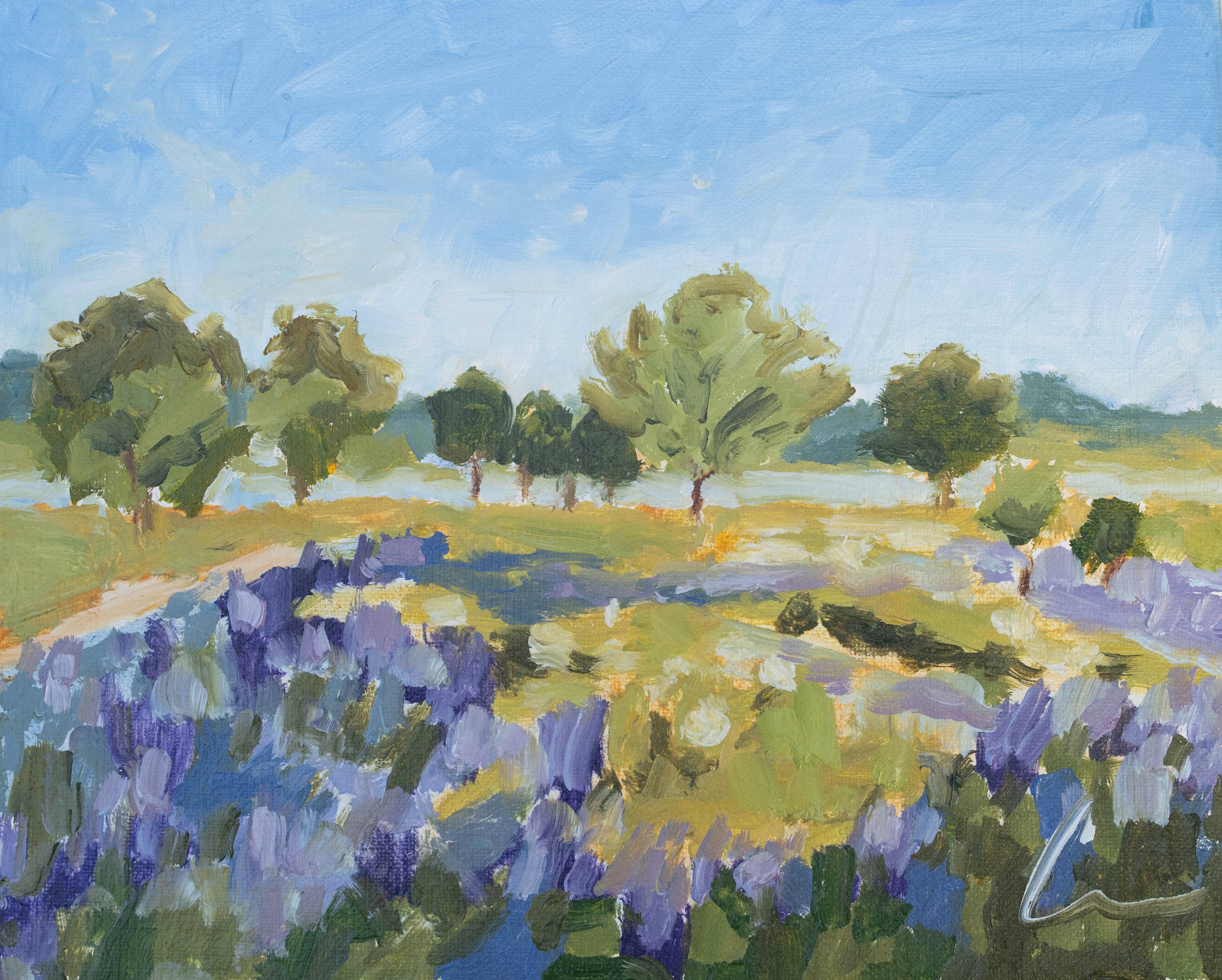 Texas Hill Country Print