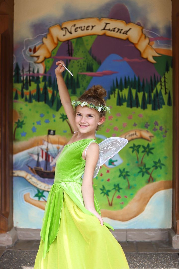 The Frog Princess Or Tinker Fairy Duo Costume Dress