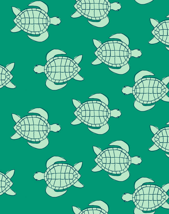 'trailing Turtles' Wallpaper By Tea Collection - Emerald