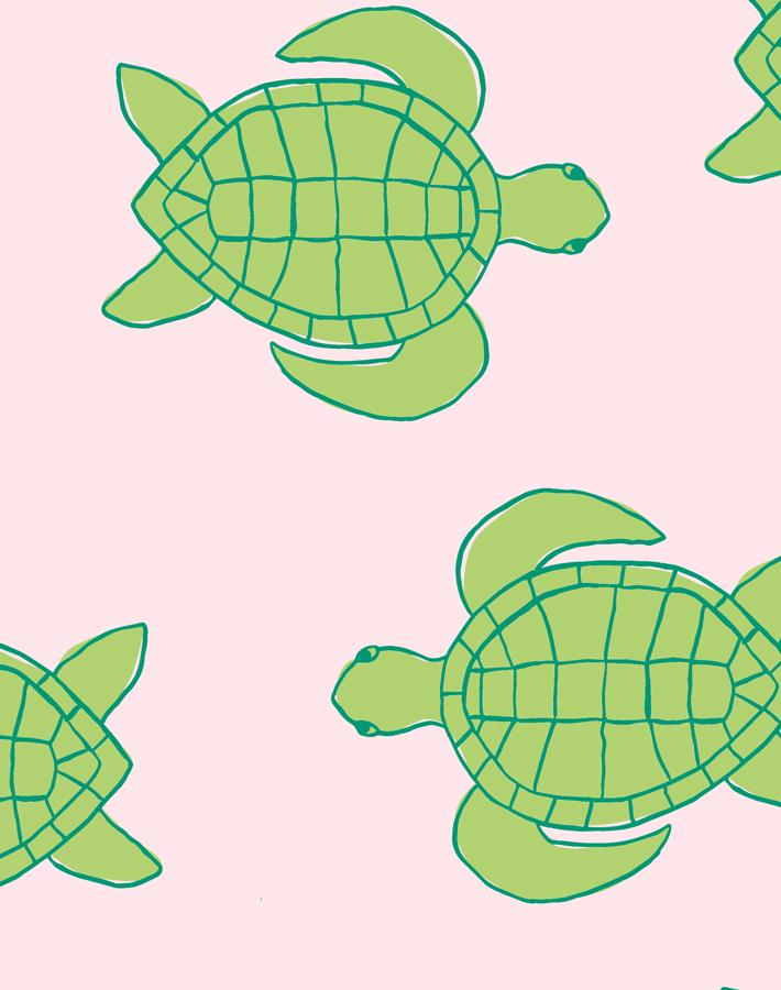 'trailing Turtles' Wallpaper By Tea Collection - Piggy Bank