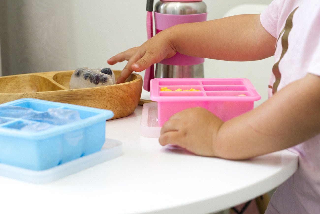 Haakaa Baby Food And Breast Milk Freezer Tray