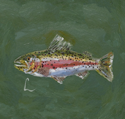 Trout 1 Print