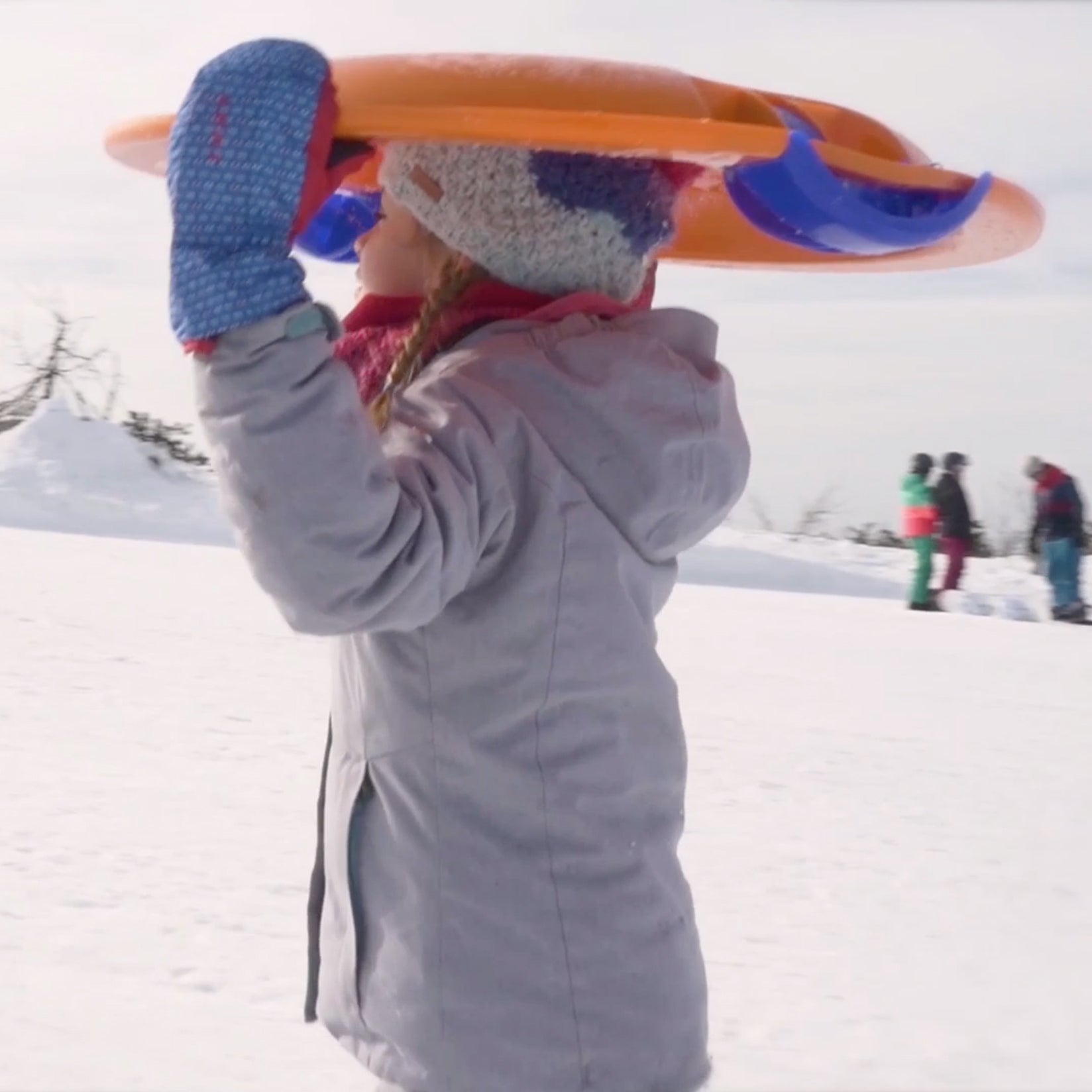 Fun UFO Sled