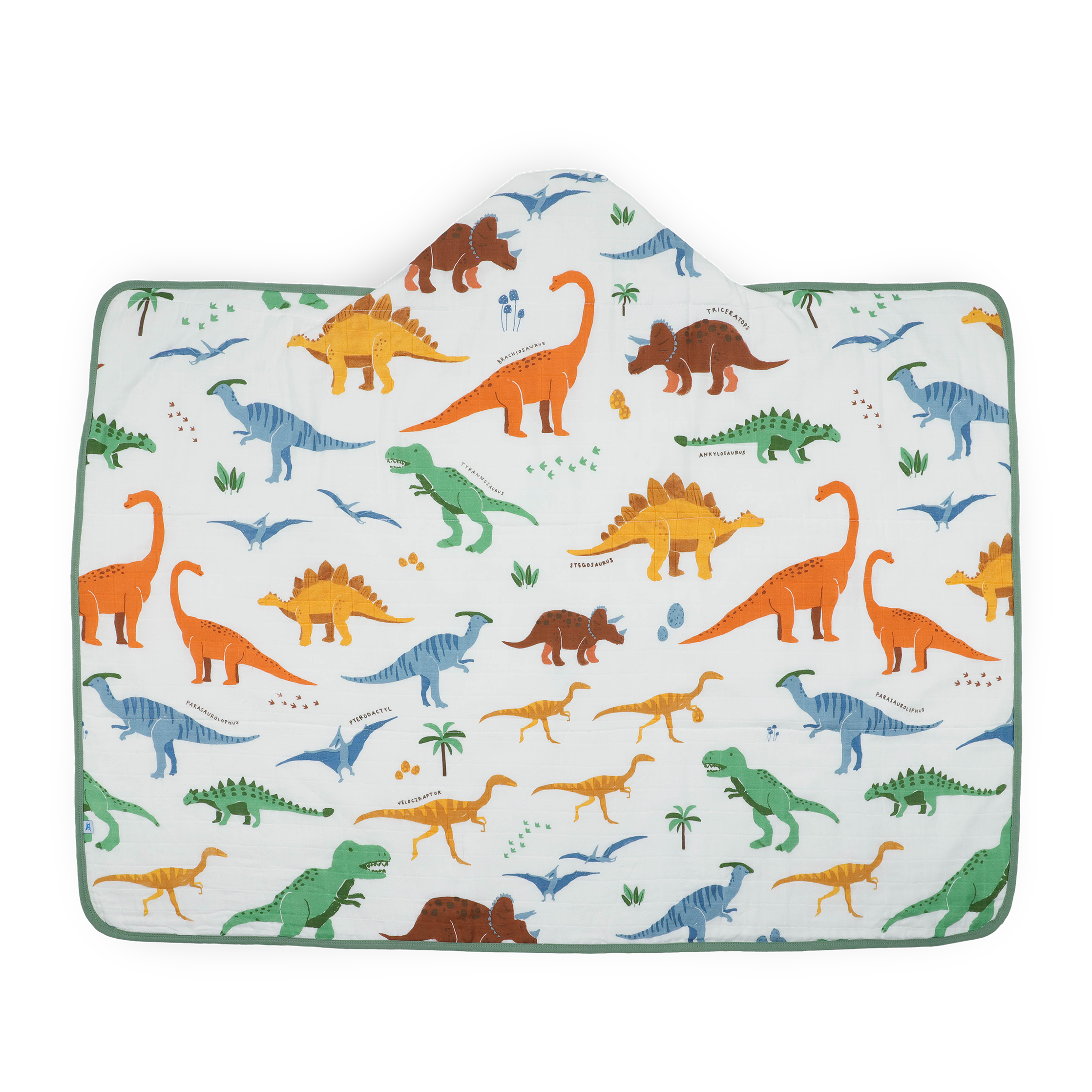 Toddler Hooded Towel - Dino Names