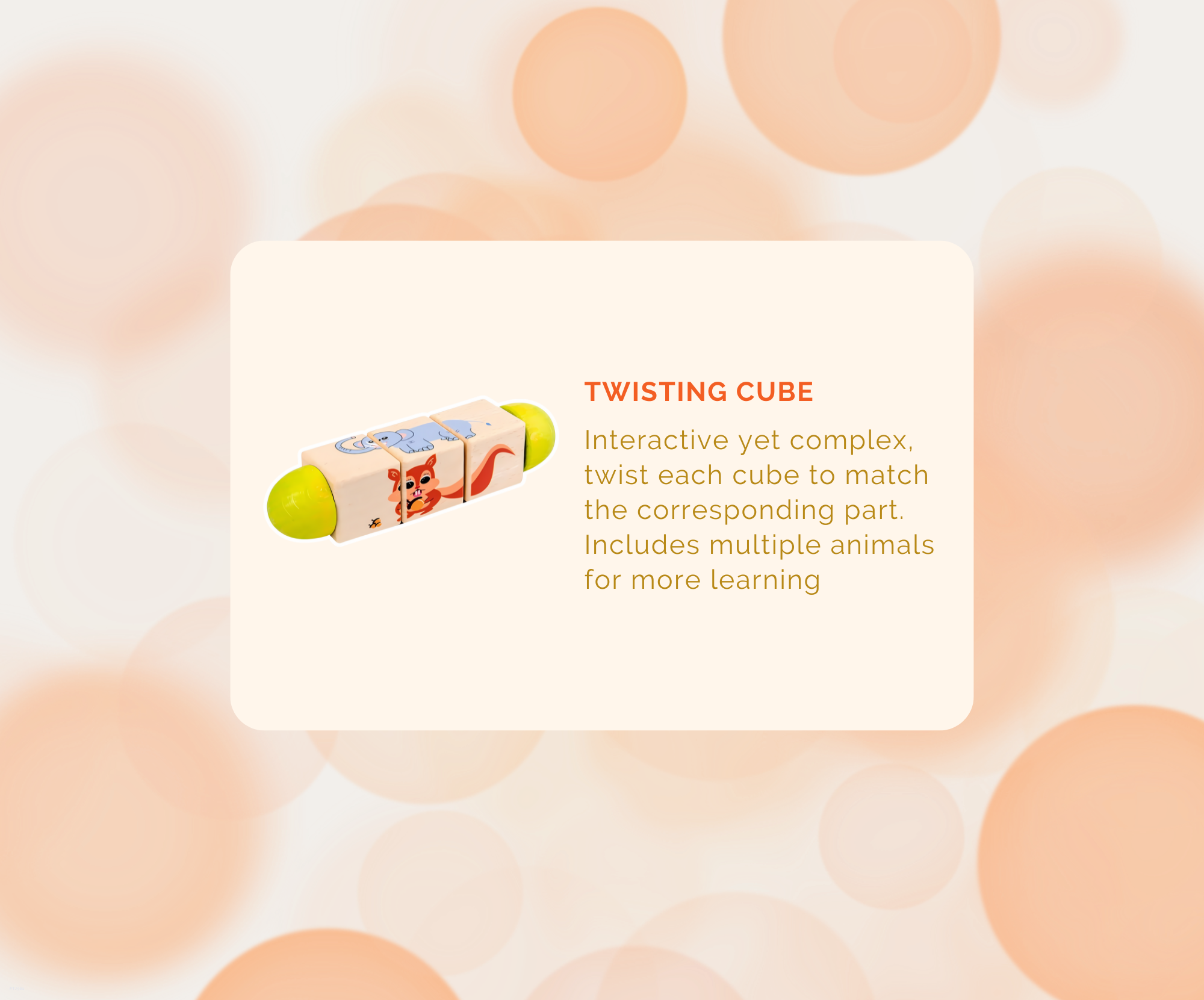 Montessori Educational Box (25-27 Months)