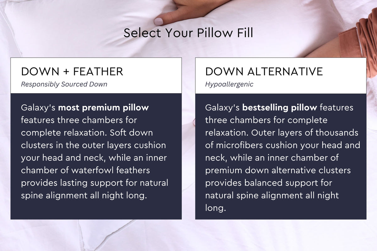 Cloud Fill Bundle W/ Cotton Percale