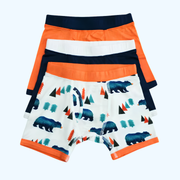Cozy Cubs Boys' Boxer Briefs