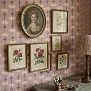 Alice Wallpaper By Meghan Pauley Nespeca