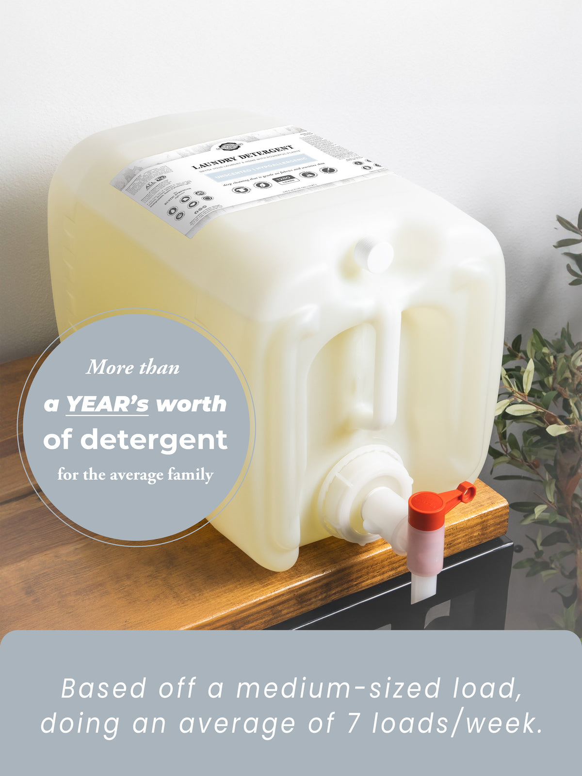 Laundry Detergent | Unscented
