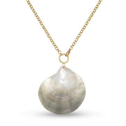 Rosalia Seashell Chain Necklace