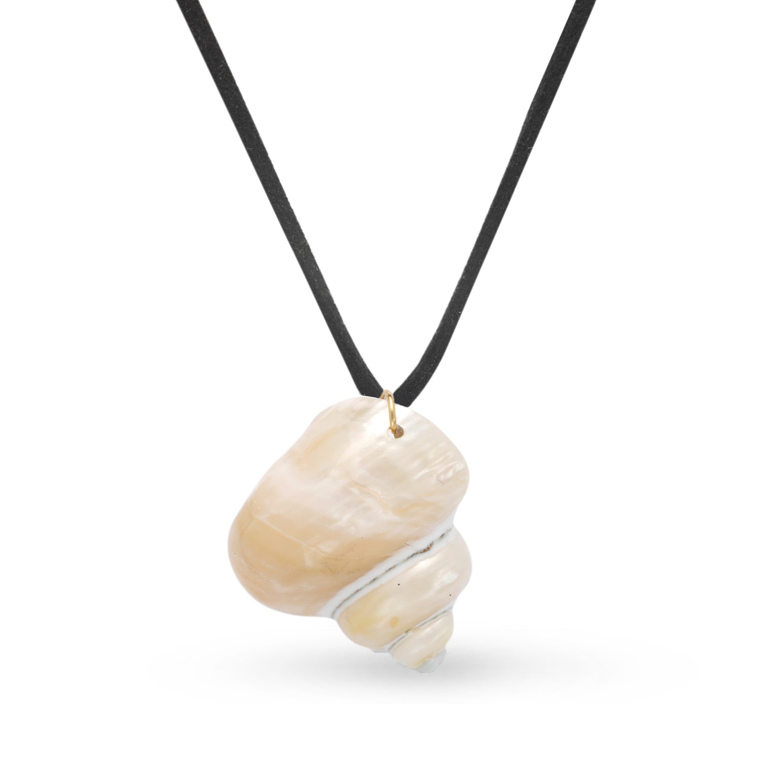 Cinnerus Seashell Suede Necklace