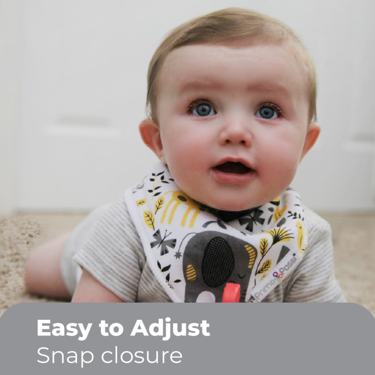 Bandana Bibs, Elephant Stripes