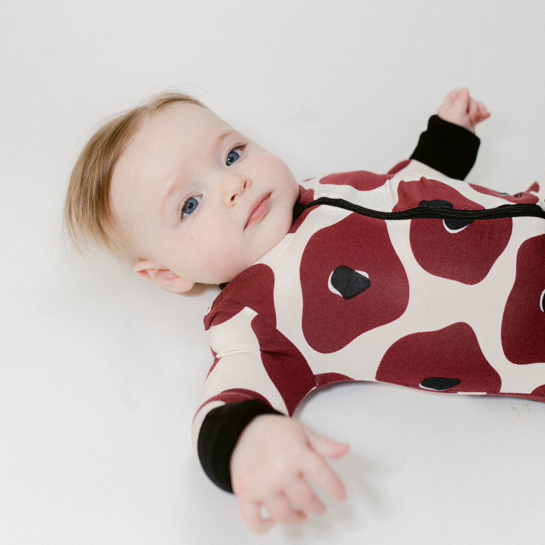 The Poppy In Bold Poppies