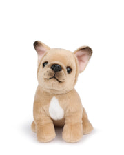 Plush Bt Chaps Philippe The French Bulldog 6.5"